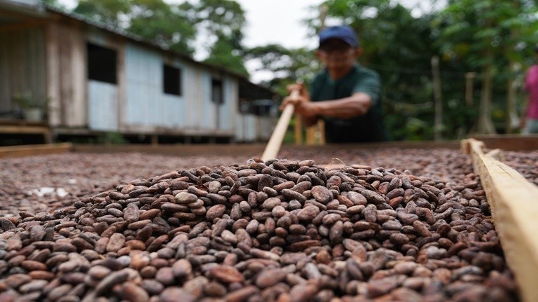 R$ 150 Milhões para Agricultura Familiar na Amazônia: Entenda o Impacto Direto em Rondônia