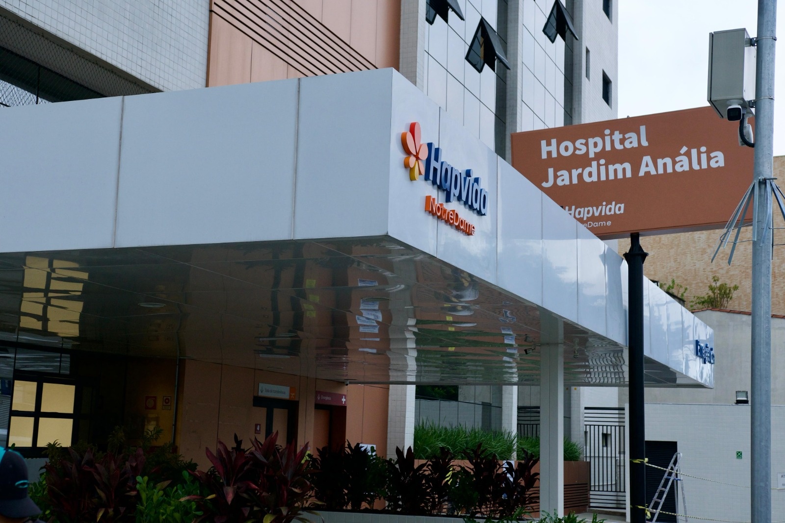 A Família Pinheiro Reforça Controle na Hapvida: Estratégia de Confiança ou Manobra em Crise?