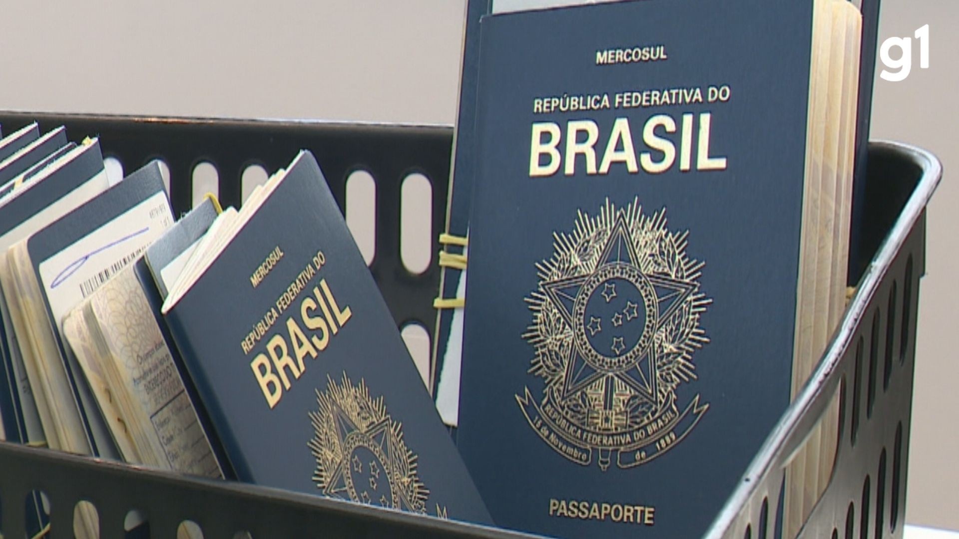 Normalização na Emissão de Passaportes no RS: Uma Análise do Impacto Regional e Implicações Futuras