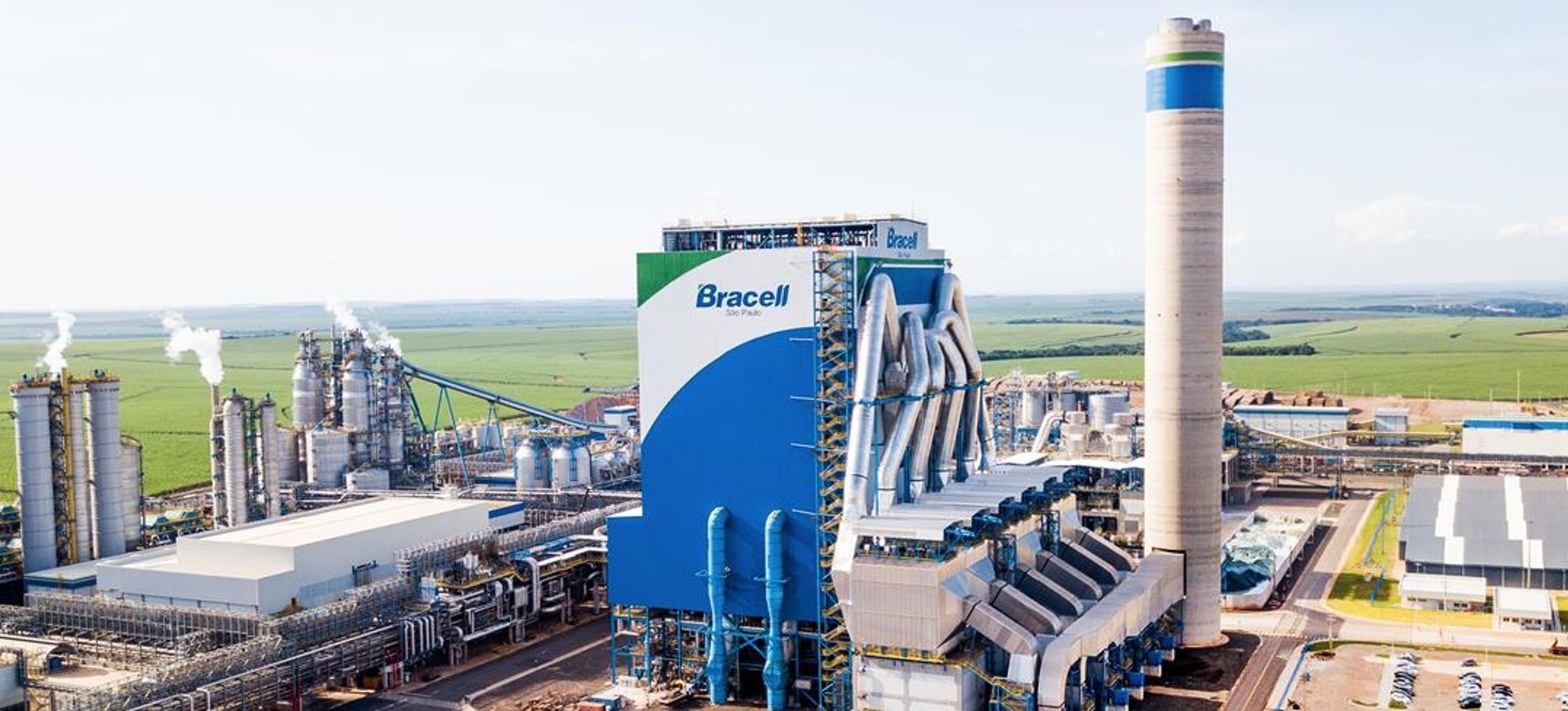 Bracell: Entenda o Impacto da Abertura de Estágios para o Futuro Profissional na Bahia