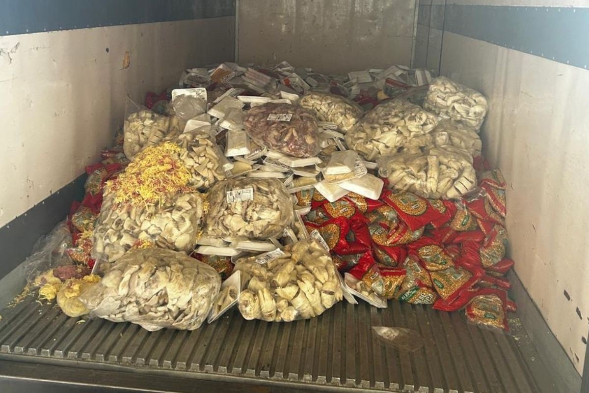 Mega Apreensão de Alimentos Irregulares em MS Revela Riscos Silenciosos à Saúde Pública e Economia Local