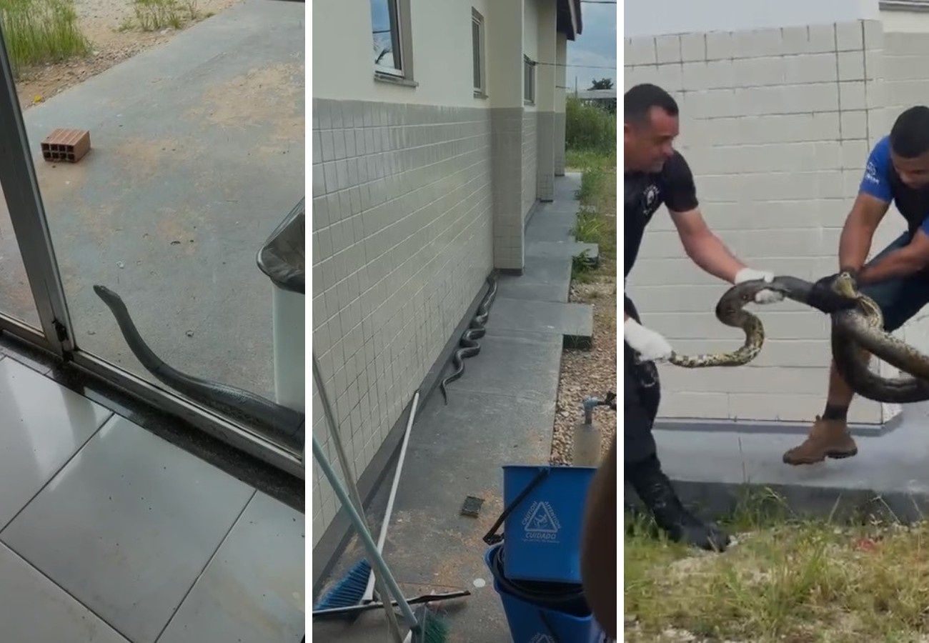 Augustinópolis: O Sinal da Natureza e o Desafio da Coexistência Urbano-Ambiental no Tocantins