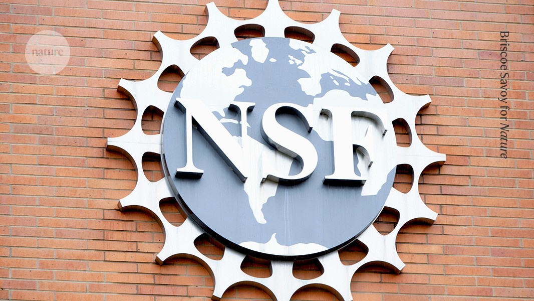 Demissão Inédita do Conselho da NSF Ameaça Pilar da Ciência Americana