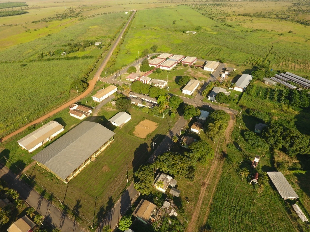 Educação e Futuro: 150 Vagas na Eagro/UFRR Impulsionam Setor Agropecuário em Roraima