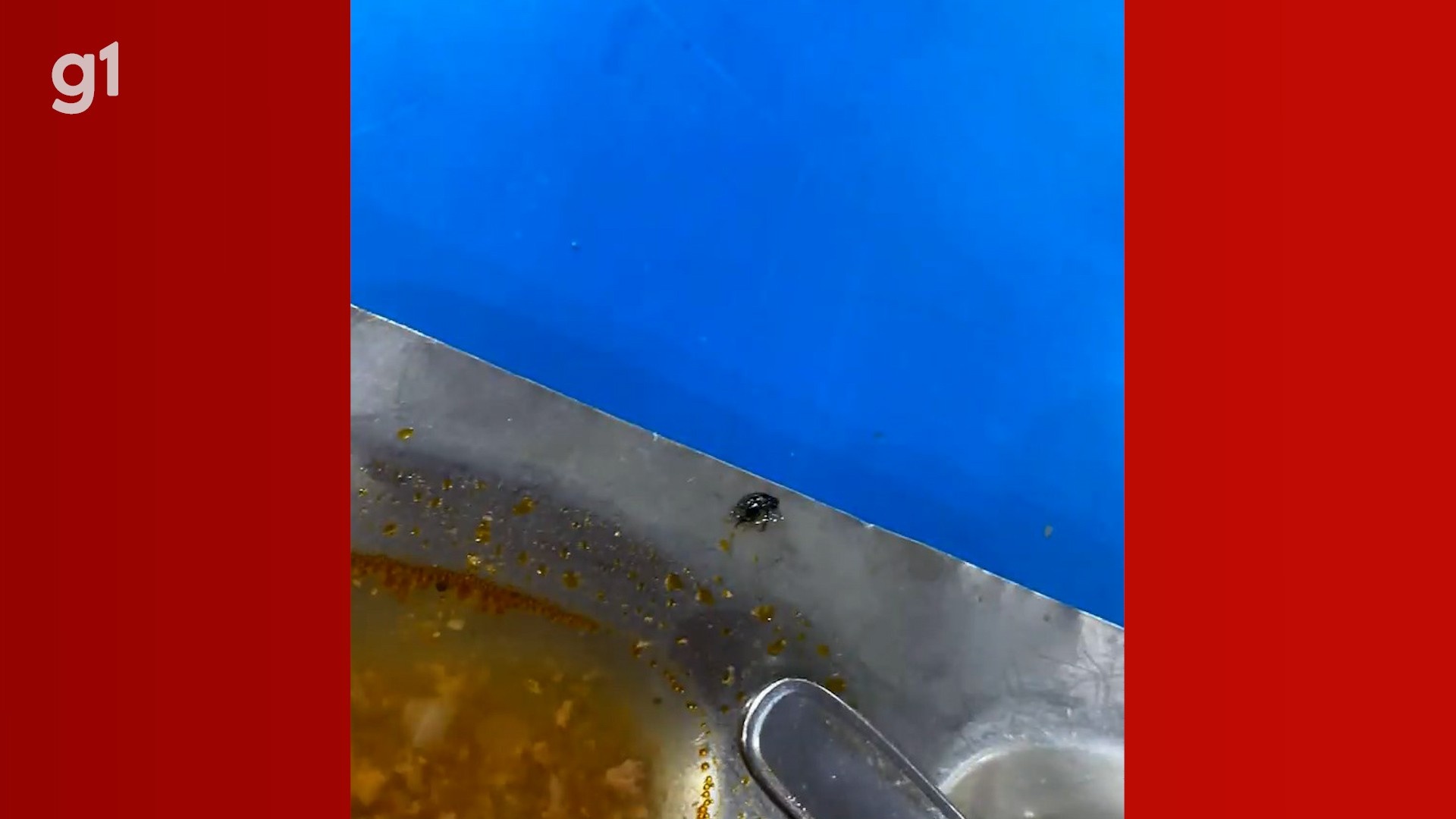 Crise na Alimentação Universitária da UFMA Revela Falhas Sistêmicas e Impacto na Saúde Estudantil