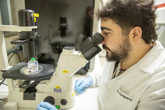 Estudo Pioneiro da UnB Revela Potencial do Ômega-3 DHA no Combate ao Câncer de Ovário