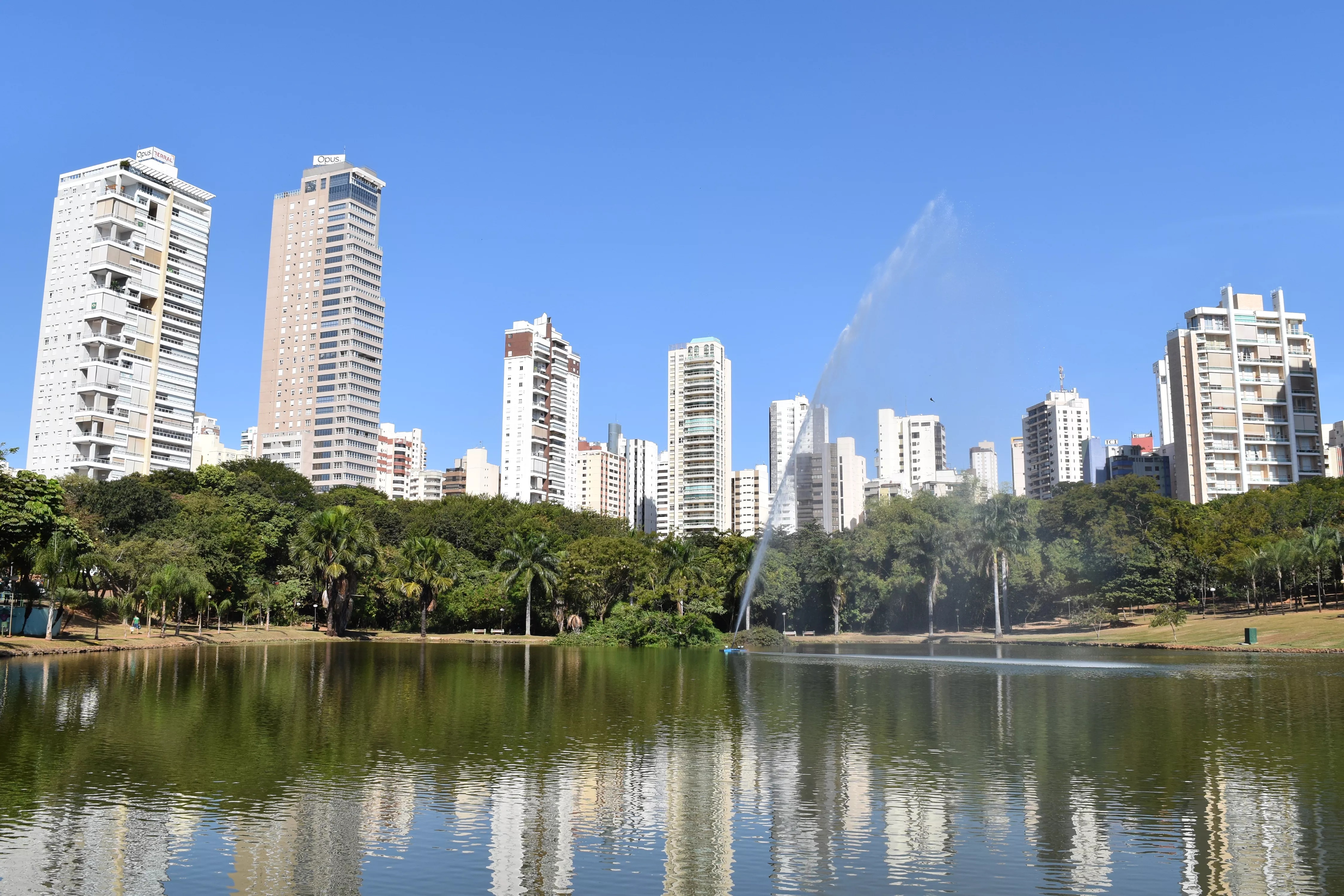 Educação Empreendedora em Goiás: Como a Conexão com Executivos Redefine o Futuro Profissional dos Jovens