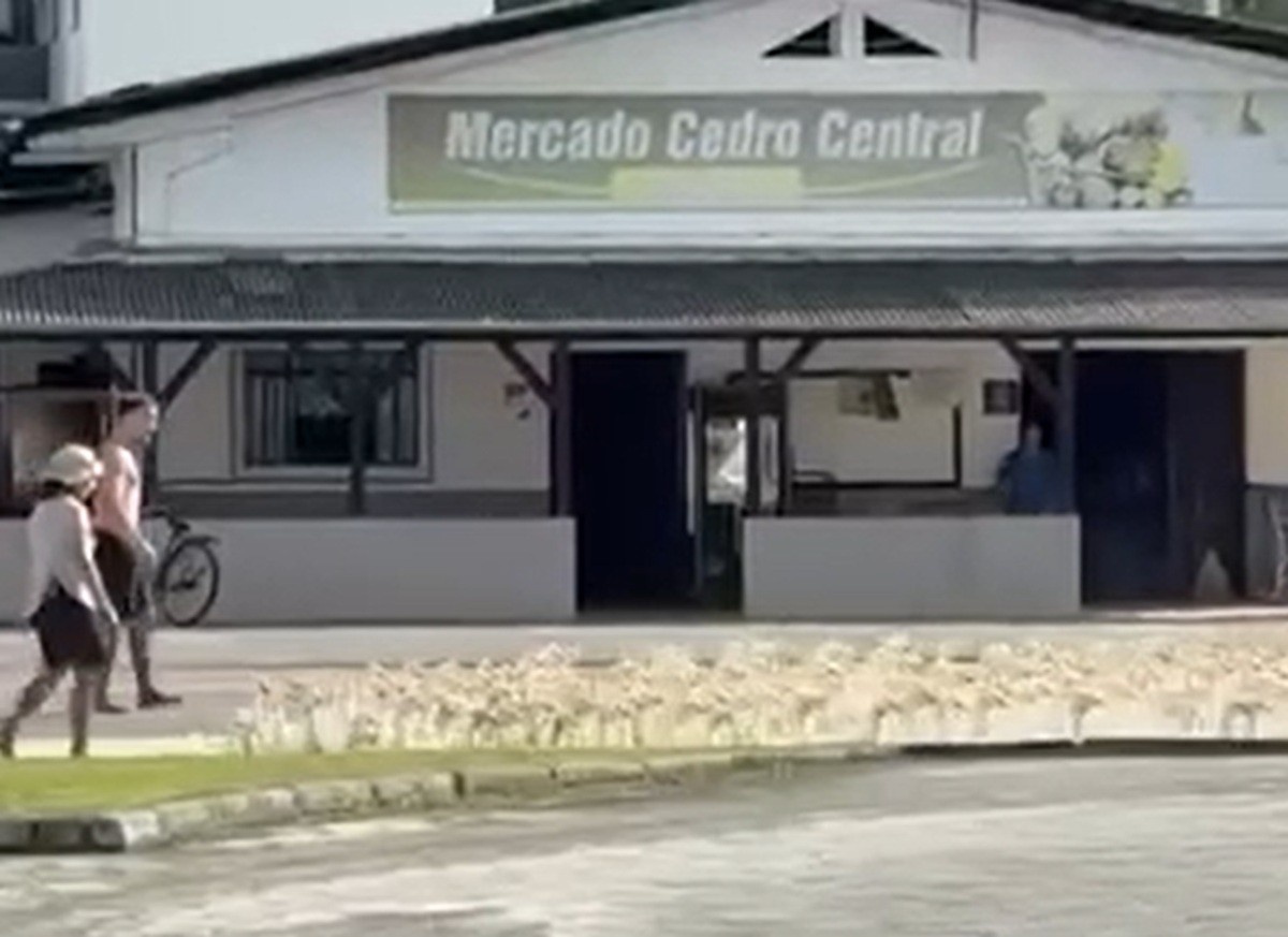 Controle Biológico de Arroz em SC: A Estratégia dos Marrecos e Seu Impacto Sustentável