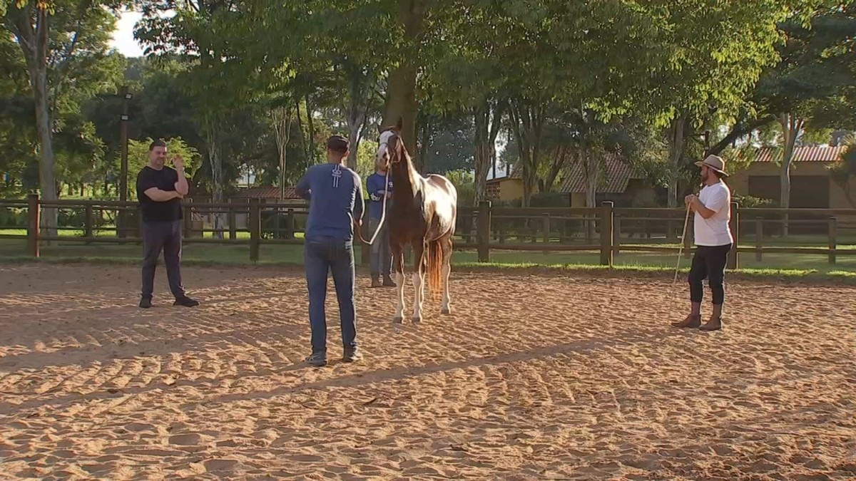A Força Econômica da Tradição: Como a Expo Agro de Itapetininga Impulsiona o Agronegócio Regional