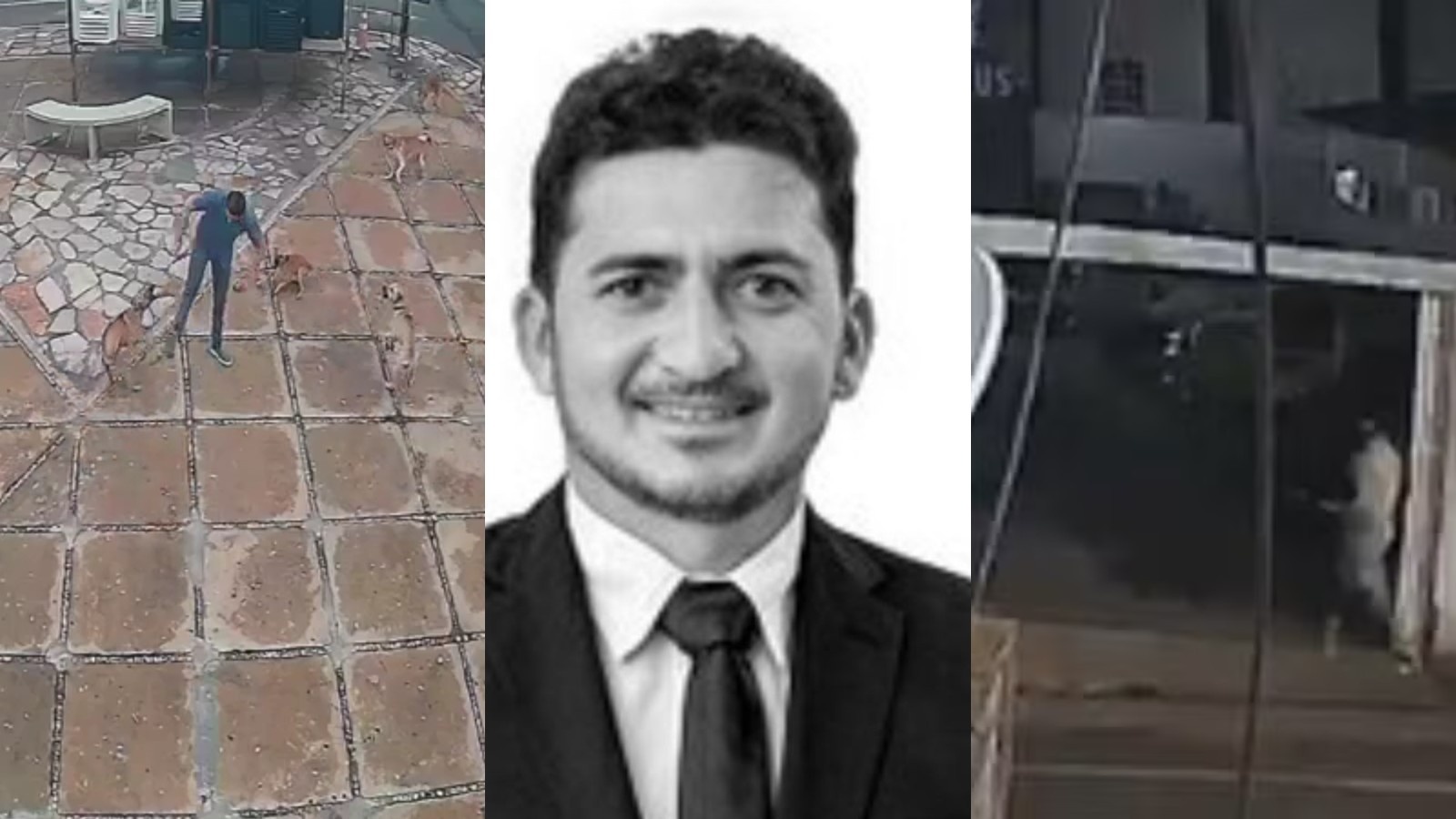 Justiça Mantém Prisão de Ex-Vereador do Piauí por Envenenamento de Animais: O Debate sobre Crueldade e Ordem Pública