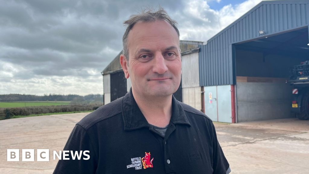 A Ciência da Alimentação Sob Pressão: Custos de Insumos e a Vulnerabilidade Global