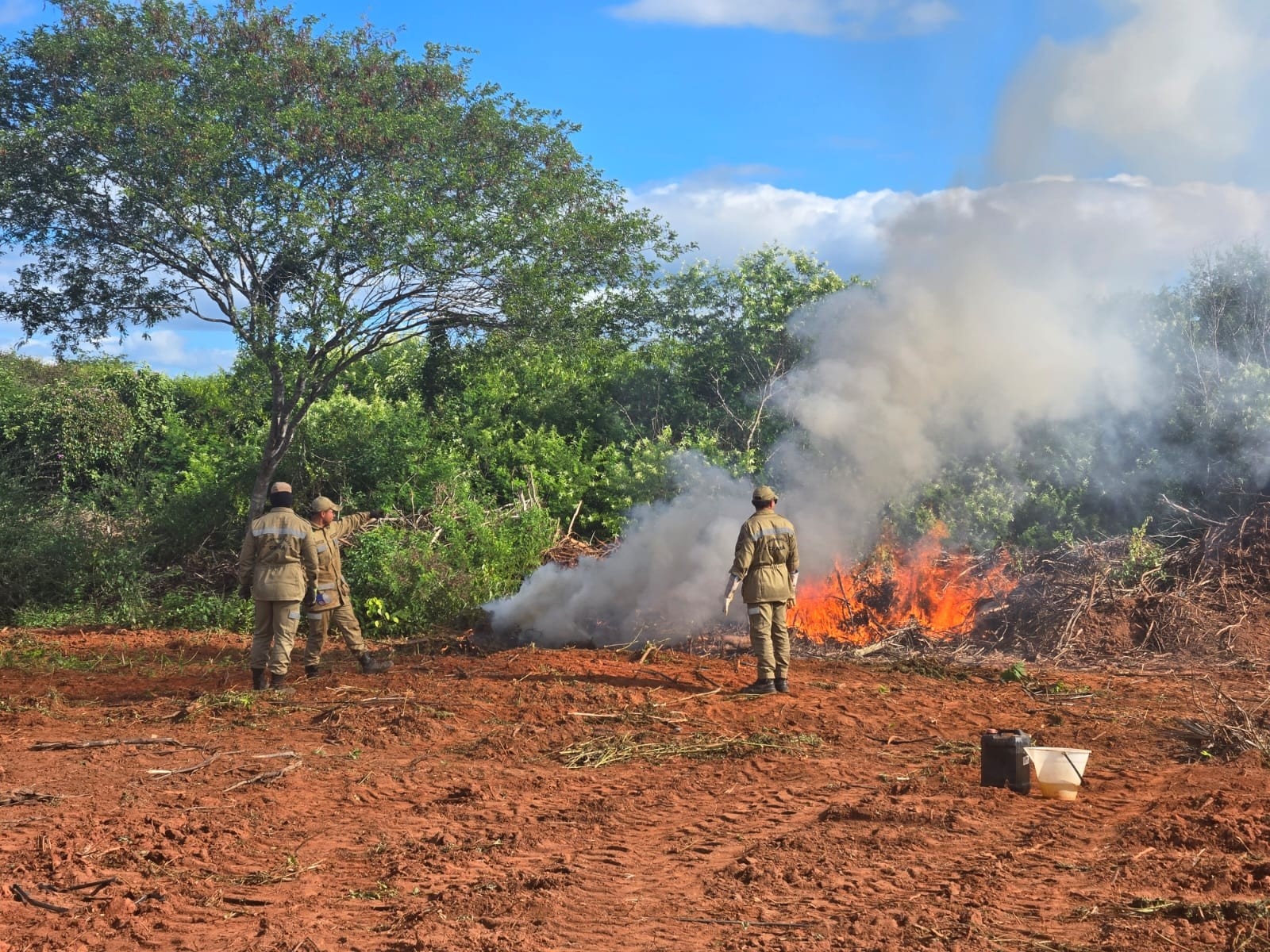 Ceará: Prisões em Caso da Fazenda de Maconha Revelam Desafios na Segurança Pública e Integridade Institucional