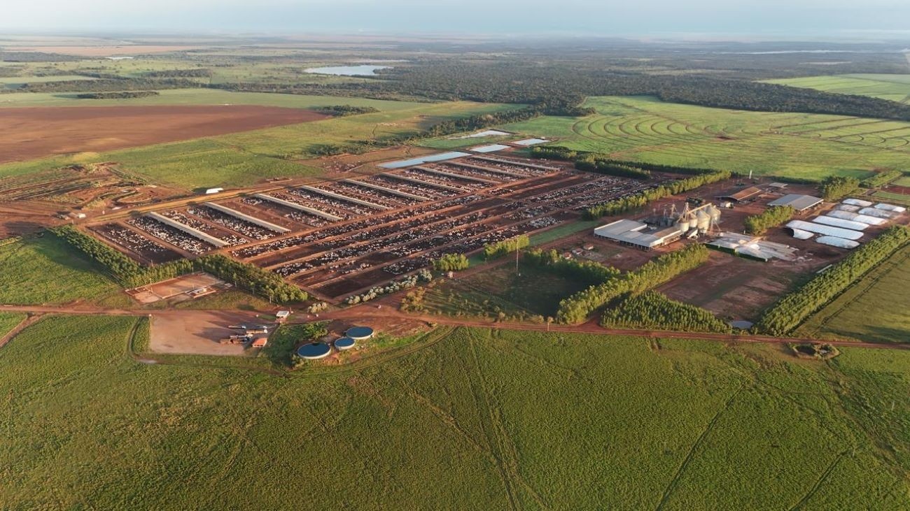 A Ascensão de Tocantins na Pecuária de Confinamento: Impactos Econômicos e Ambientais Regionais