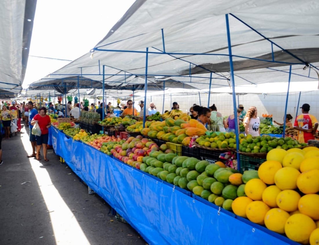 A Dinâmica Econômica e Social das Feiras e Mercados em Aracaju: Um Guia Além do Consumo