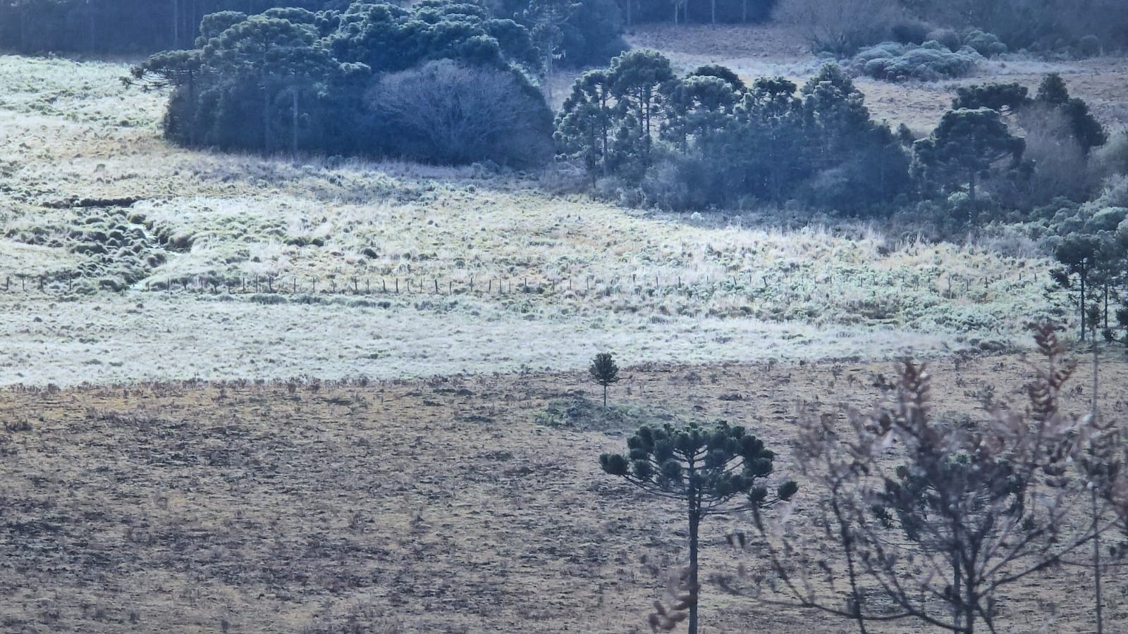 Frio Extremo na Serra Catarinense: A Reconfiguração Socioeconômica Regional Além dos Termômetros