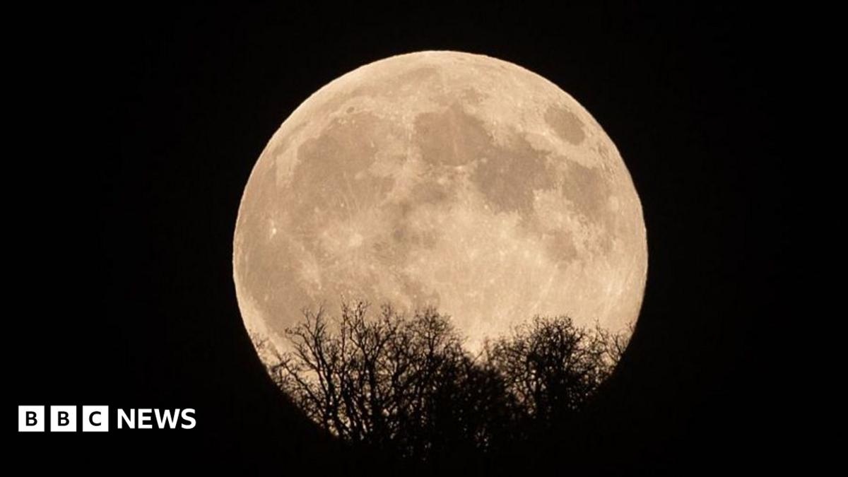 O Outono Cósmico: Revelações Celestes e Seu Profundo Impacto na Consciência Humana