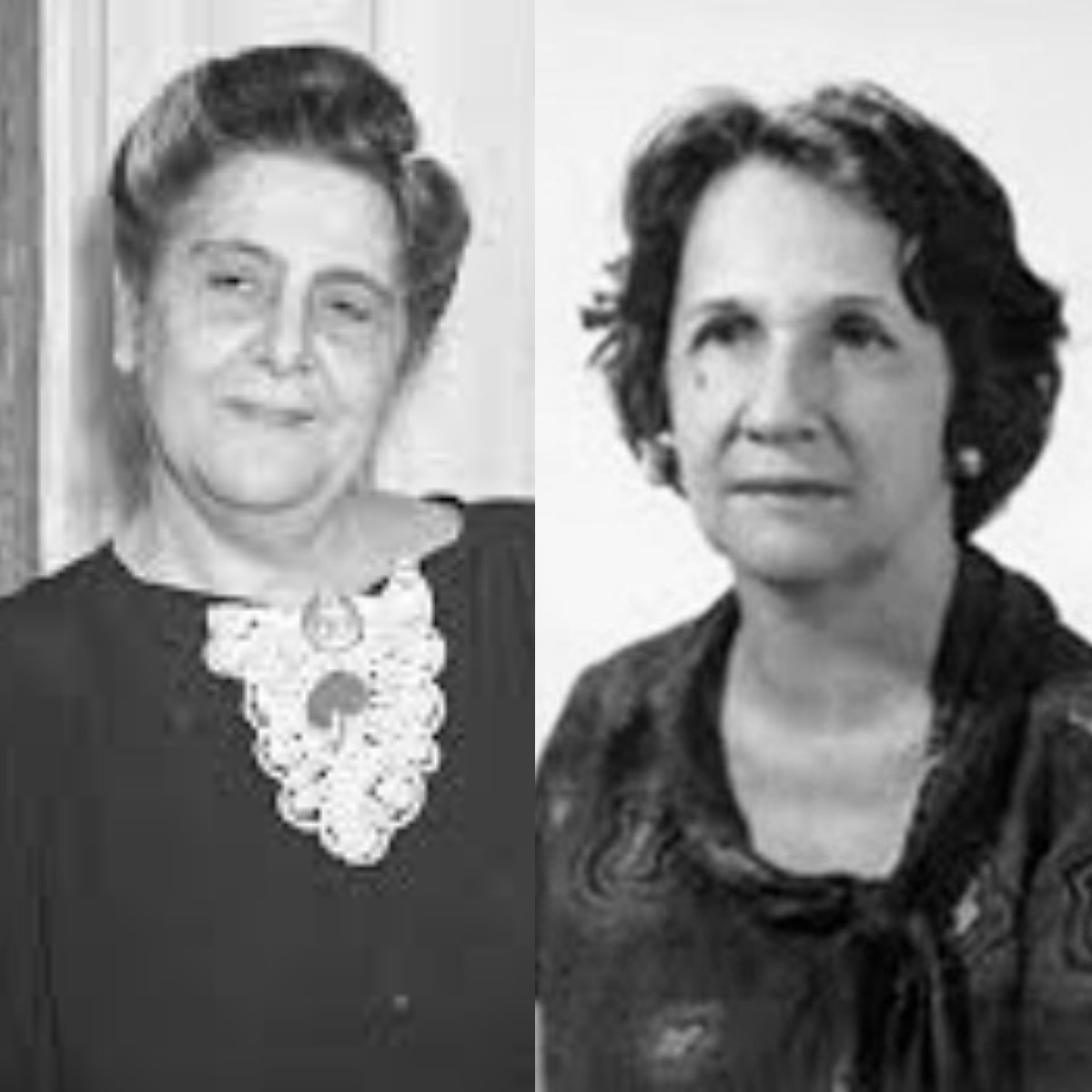 A Topografia da Memória: Mulheres Pioneiras Que Reconfiguram a Identidade Educacional de Porto Velho