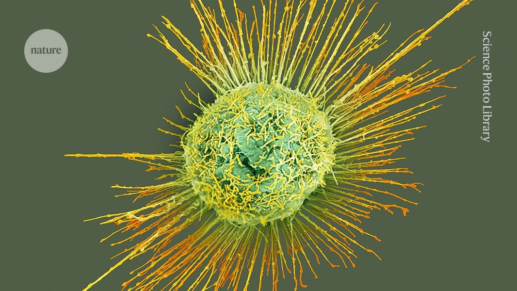Flu season Kicks off early: concerns emerge over new H1N1 variant