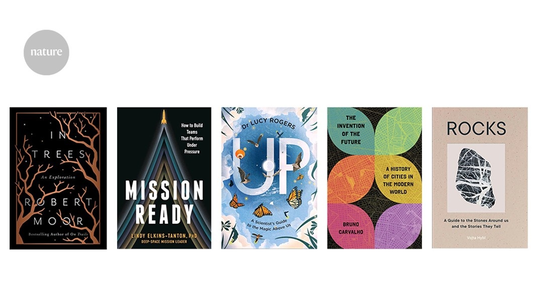 16 Psyche: O Asteroide Metálico que Reimagina o Futuro da Economia e da Ciência Espacial