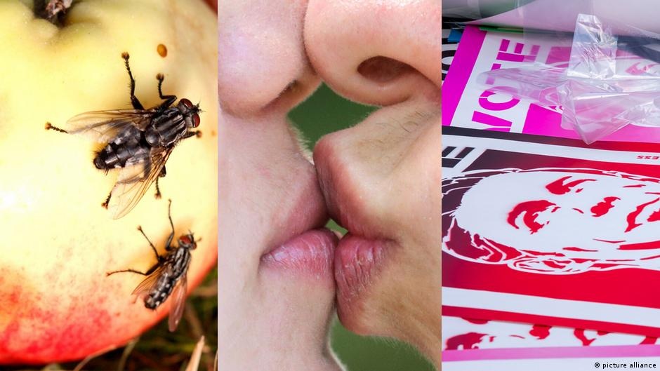 From rotten food to political opponents: Researchers explore how disgust relates to our beliefs, and why the connection is complicated