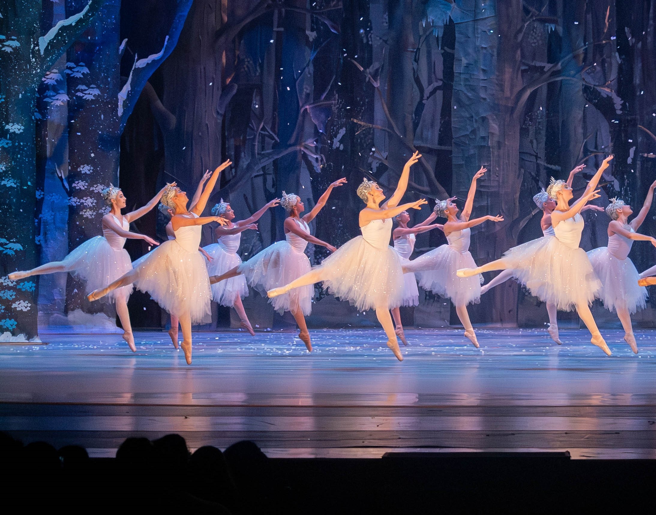 A Expansão Cultural Estratégica: Como o Theatro Municipal Redesenha o Acesso às Artes nas Periferias Paulistanas