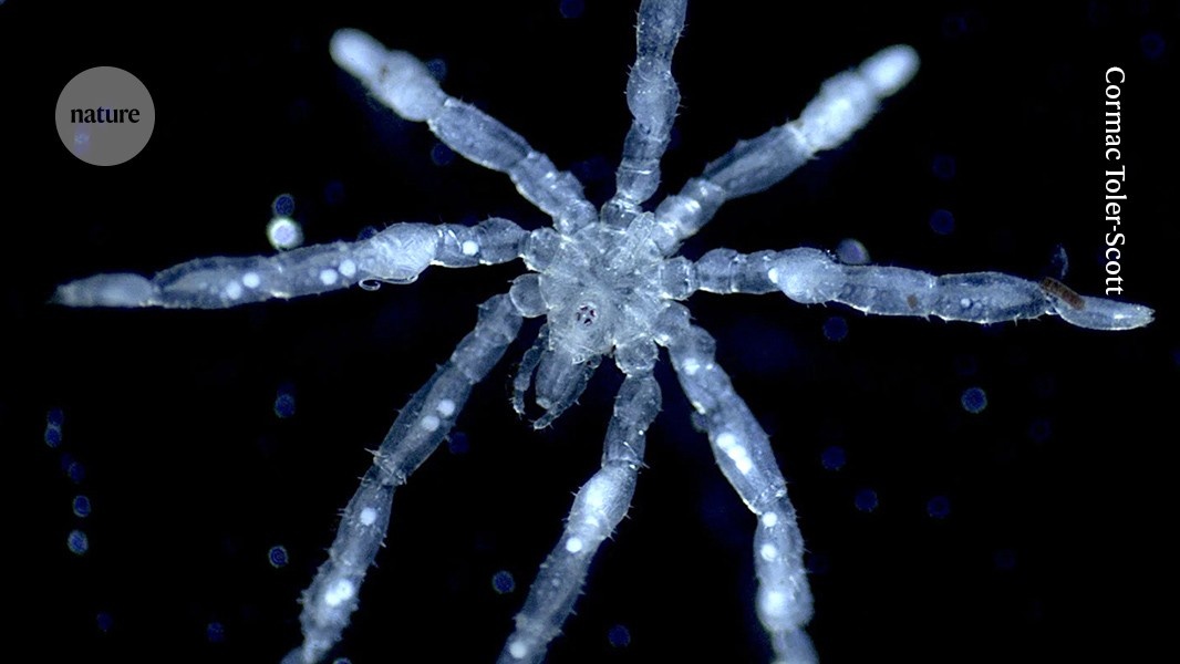 Give me the good news: four science stories to brighten your day