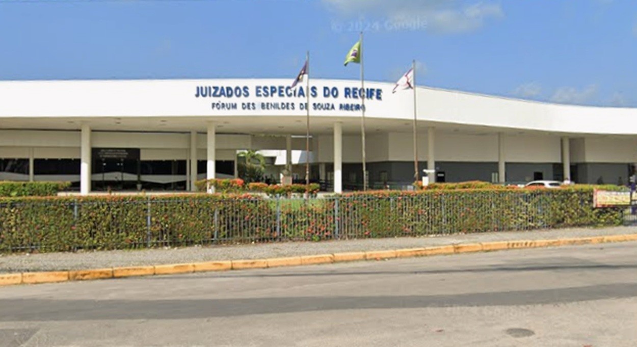 Decisão Judicial em Pernambuco Redefine Direitos de Passageiros com Animais de Suporte Emocional