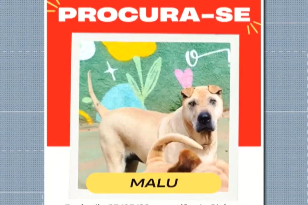 Inteligência Artificial e Golpes Contra Tutores: A Nova Fronteira da Extorsão no Mato Grosso do Sul