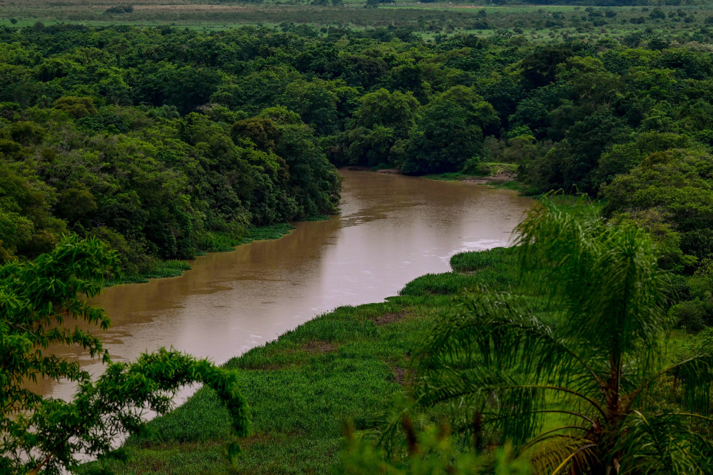 São Paulo Amplia Vigília Ambiental por Satélite: A Nova Era da Fiscalização e Seus Reflexos na Vida Paulistana