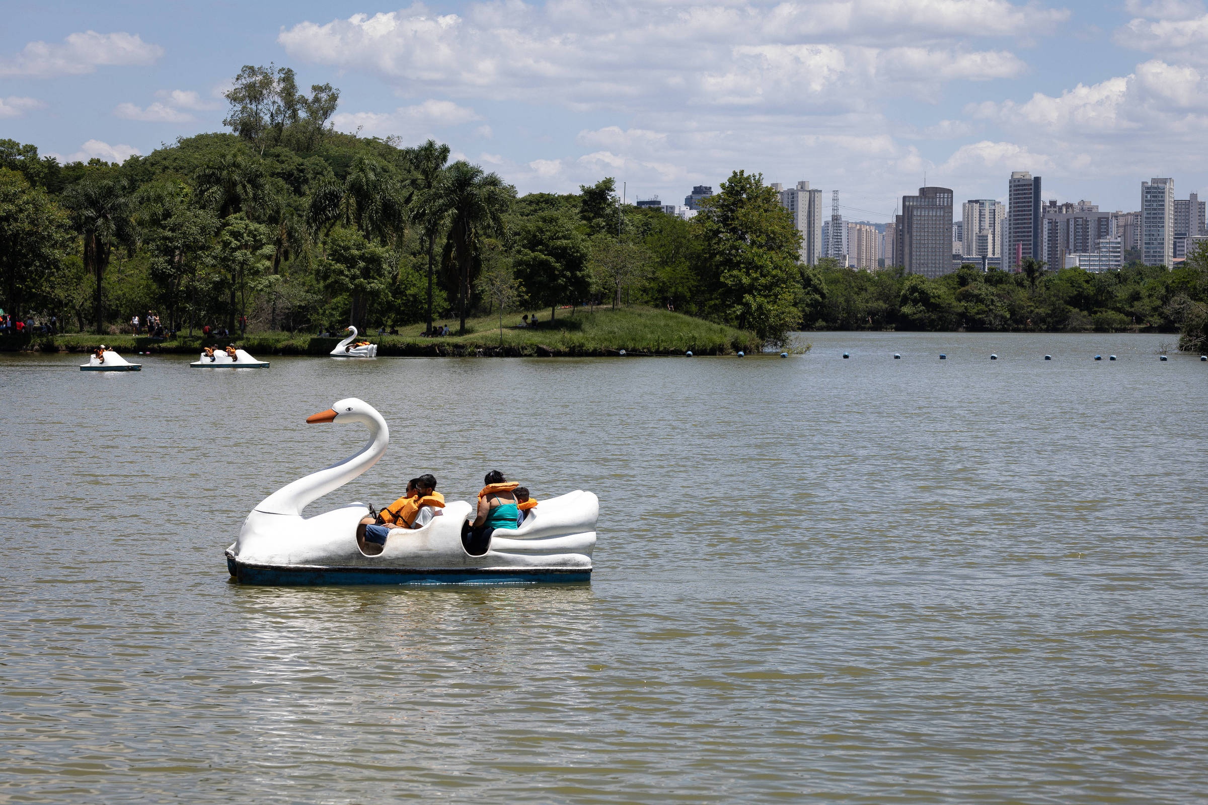Concessão de Seis Parques em SP: A Transição para a Gestão Privada e Seus Impactos Urbanos