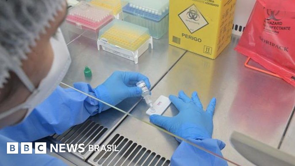 Hantavirose: A Alta Letalidade que Demanda Mais que Atenção Rural no Brasil