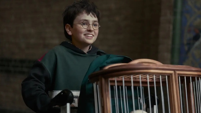 A Nova Era de Harry Potter e o Reordenamento do Streaming: Uma Análise Tecnológica da Estratégia HBO Max