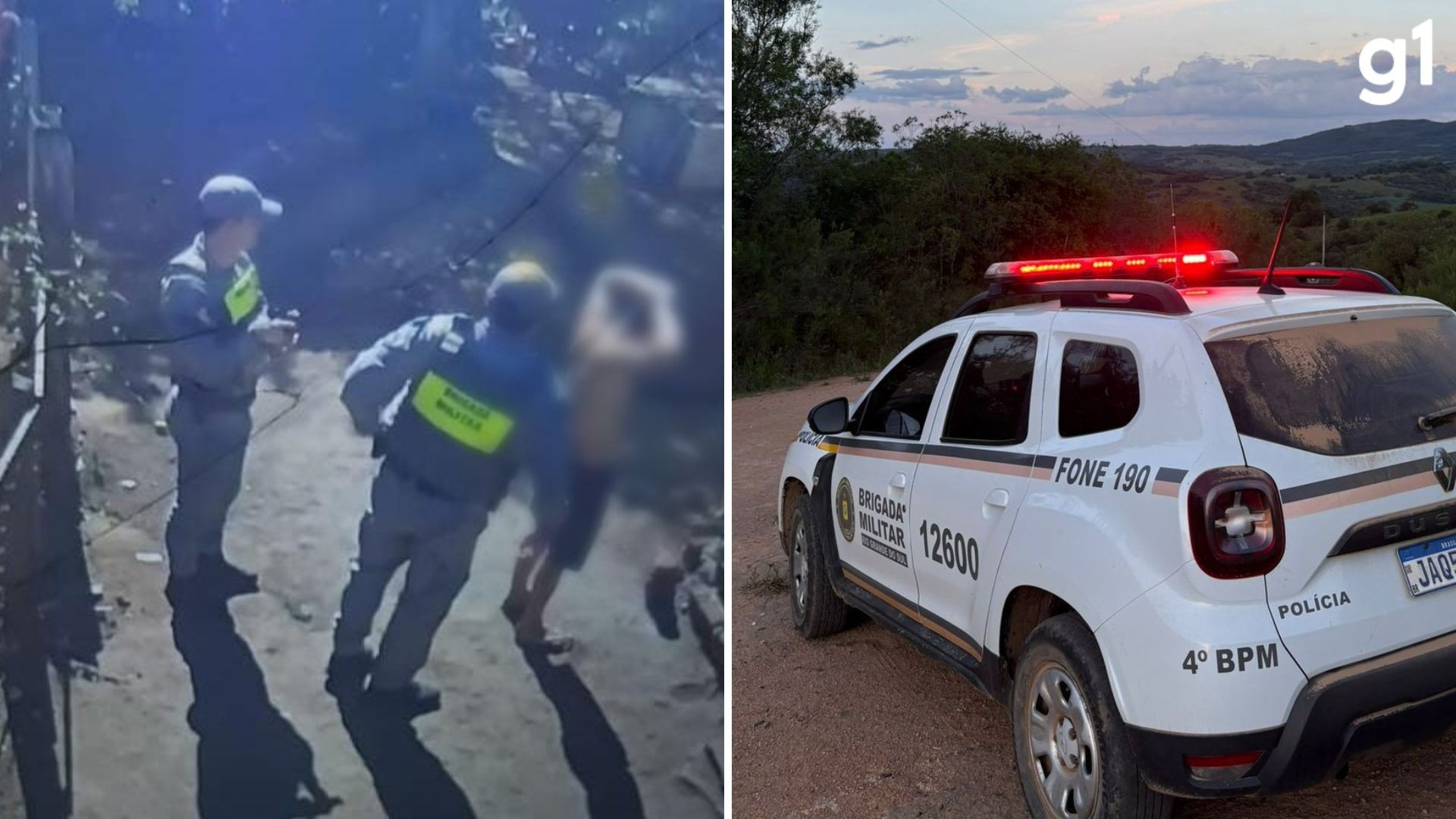 Atrocidade em Piratini: A Dimensão Oculta da Violência Contra Animais no RS