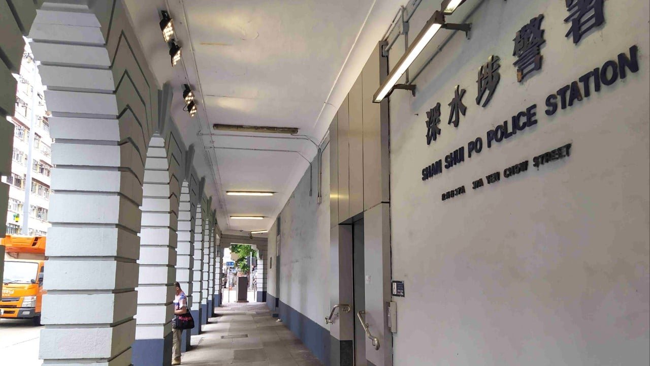 Menino de Hong Kong, 14, detido por vídeos e fotos online de abuso de gatos