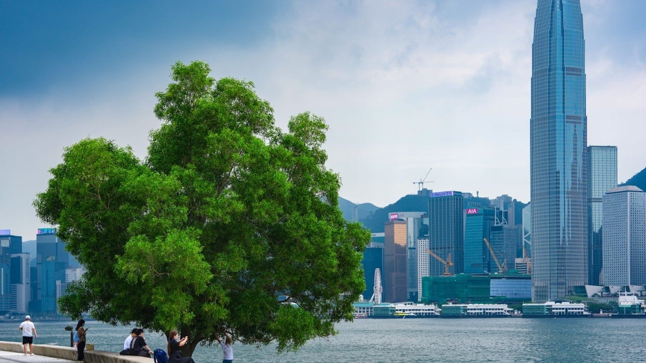Hong Kong Excluiu a Narrativa de Clima da Sua Plantação de Cinco Anos, Obrigando a União de Forças