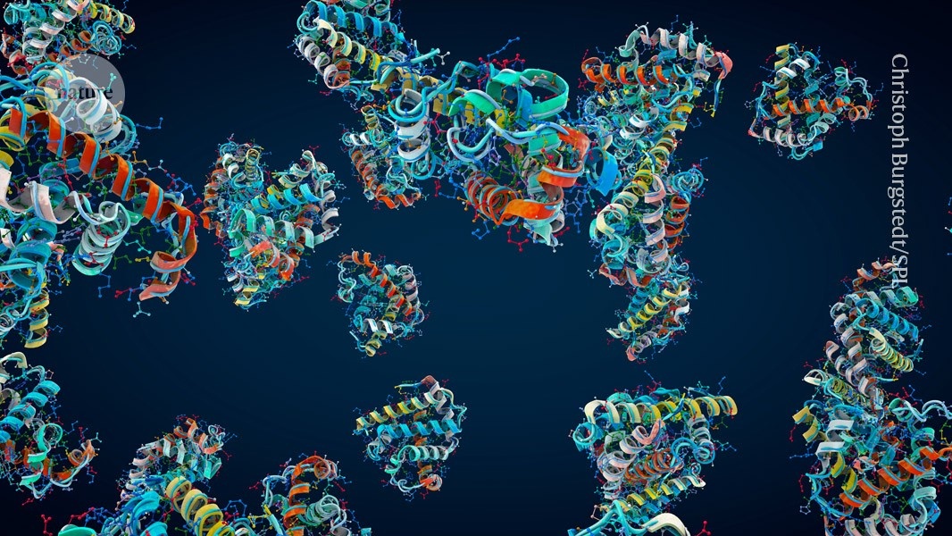 Revelado em Tempo Real: A Velocidade Oculta do Dobramento Proteico Redefine a Biologia Molecular