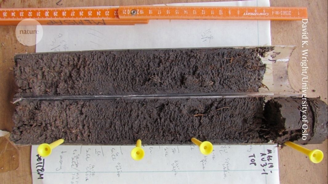 Arqueologia Molecular: Como Vestígios Minúsculos Reconstroem Civilizações e Climas Antigos