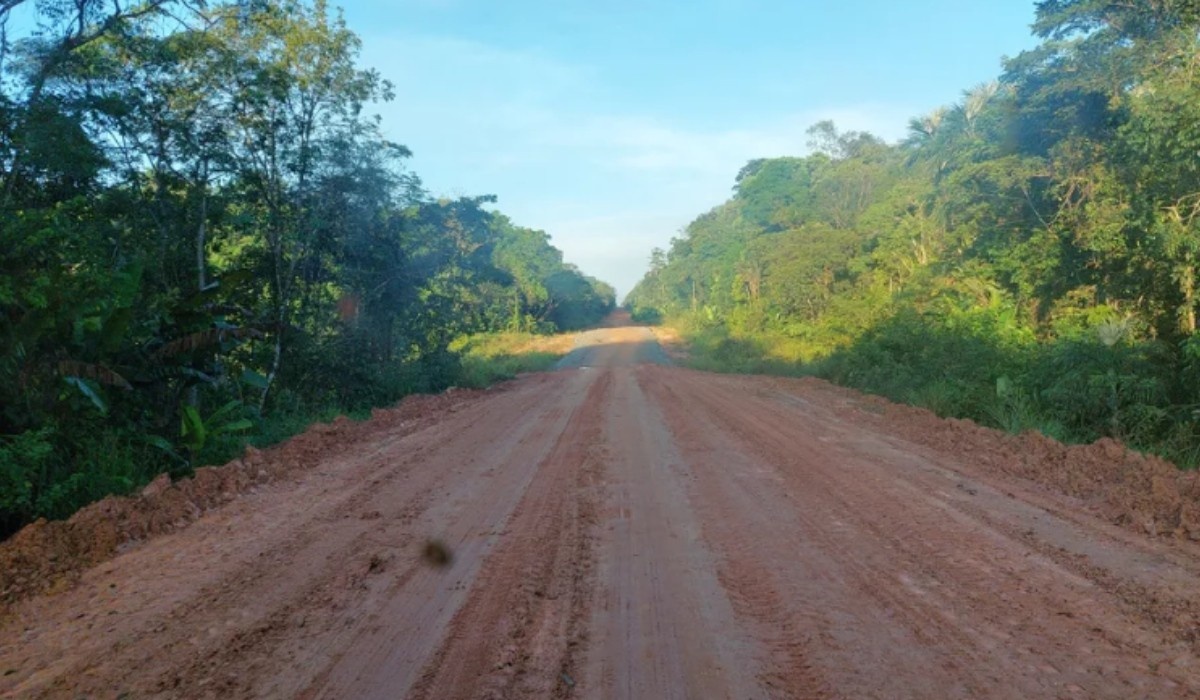 BR-319: Licença para Pontes Marca Avanço Decisivo com Desafios Ambientais no Coração da Amazônia
