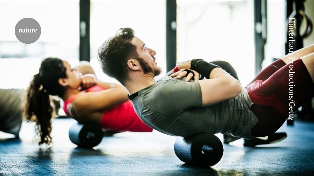 Células B Redefinem a Biologia do Exercício e Resistência Muscular