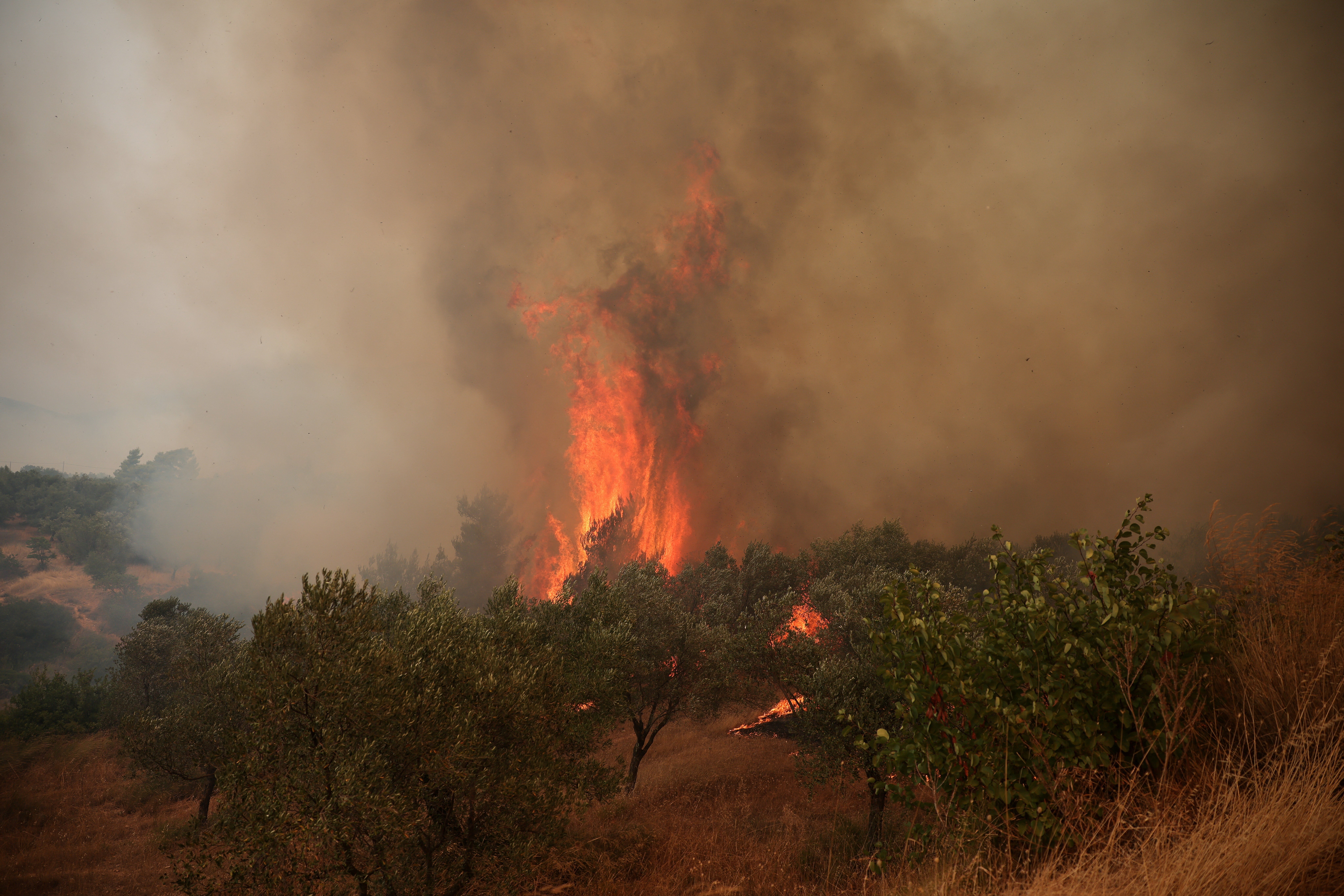 Crise Climática na Europa: Incêndios na Grécia Revelam Desafios da Transição Energética e Resiliência Urbana