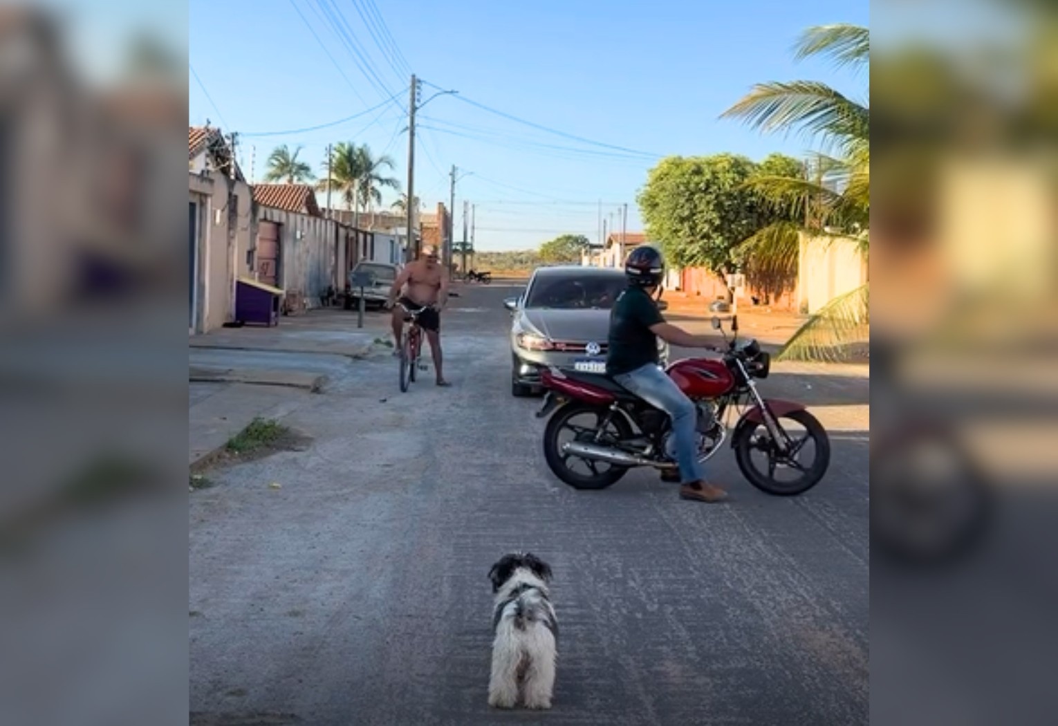 Viral de Gurupi: Manobra Cômica de Moto Expõe Desafios Urbanos e Potencial da Economia Criativa Regional