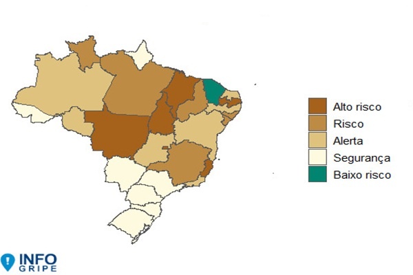 Cenário Respiratório no Brasil: Uma Análise da Complexa Dinâmica Viral e Seus Desafios Regionais