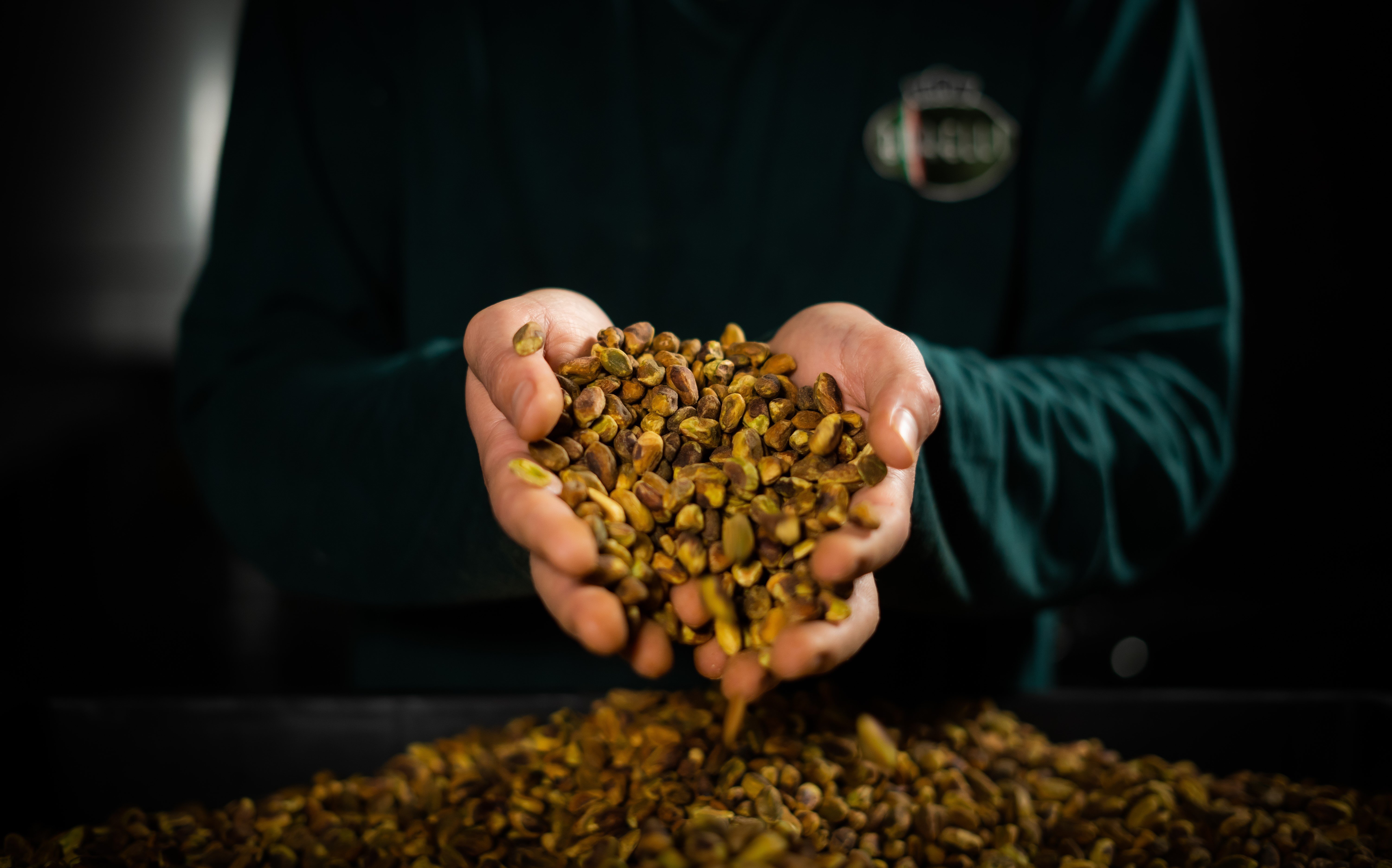 Irã Proíbe Exportação de Alimentos em Meio a Conflito; Brasil Não Importa Itens Essenciais