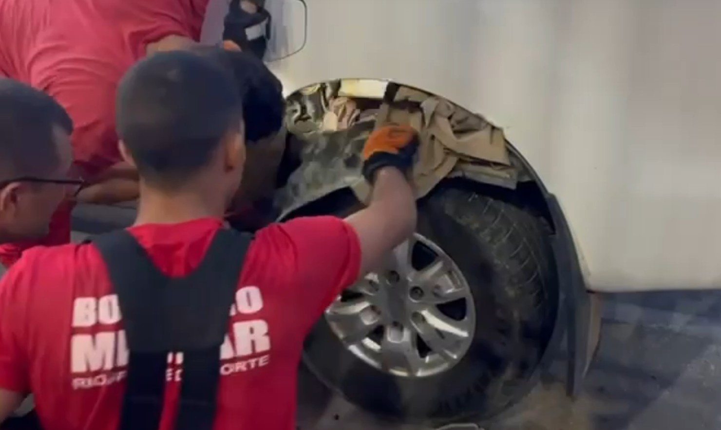 Jiboia em Veículo no RN: Mais Que um Resgate, um Alerta sobre Convivência Urbano-Silvestre