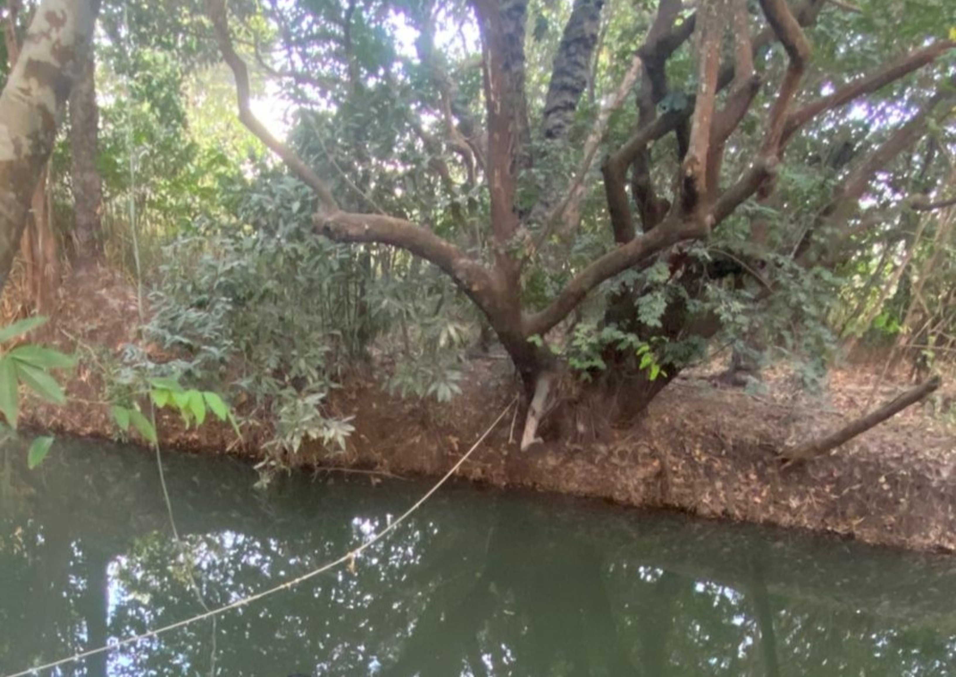 Morte no Igarapé de Boa Vista: Uma Análise Profunda sobre Segurança e Lazer Regional