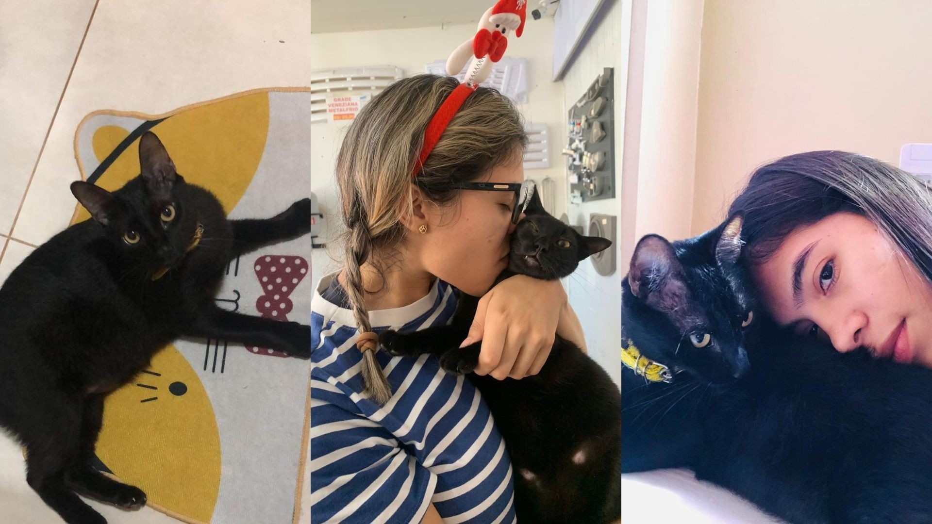 Para Além do Afeto: A Sinergia entre Resgate Animal e Saúde Mental em Macapá