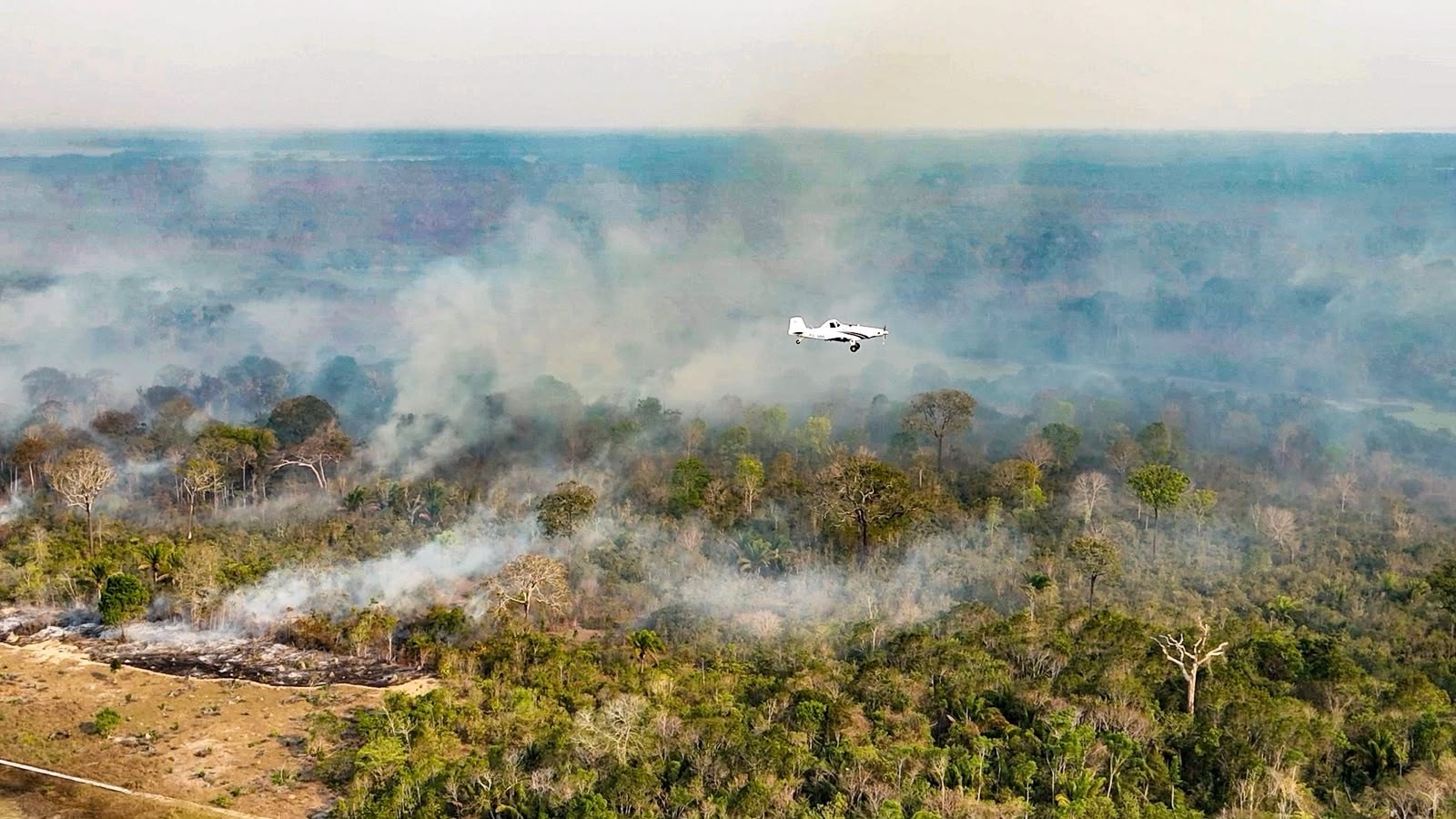 Justiça federal Exige esclarecimentos sobre ações de combate a incêndios florestais na Amazônia