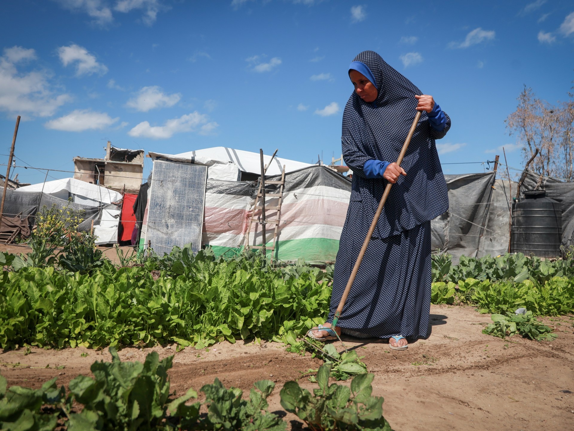 Gaza: O 'Dia da Terra' Reconfigurado e a Crise Territorial Pós-Conflito