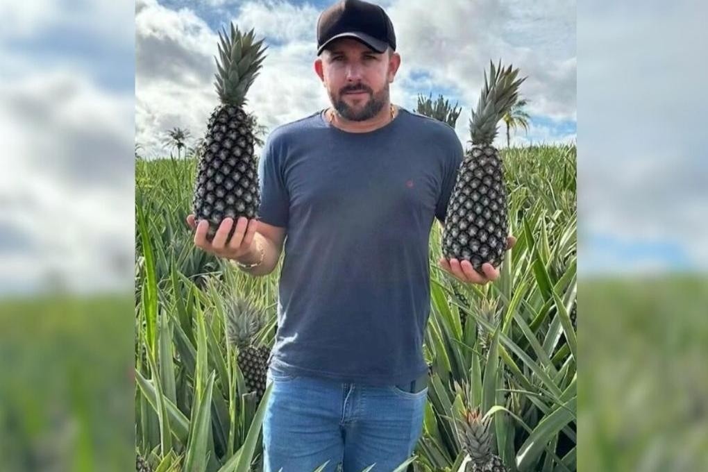 Rivalidade Fatal em Miranorte: Como o Crime Organizado Ameaça o Coração do Agronegócio Tocantinense