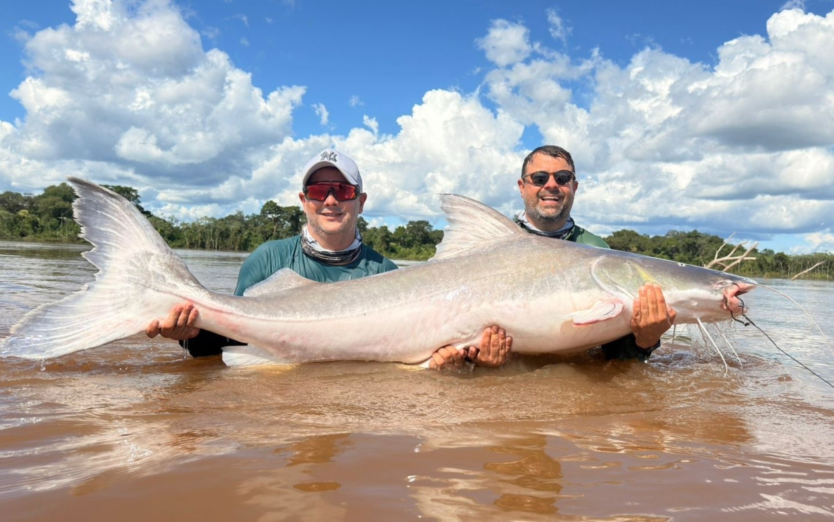 A Piraíba no Araguaia: Pilastra da Biodiversidade e Motor Econômico de Goiás